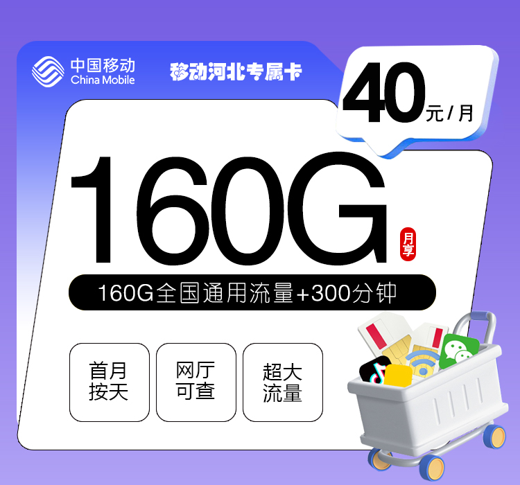 移动河北专属卡【40元160G+300分钟】官方办理入口