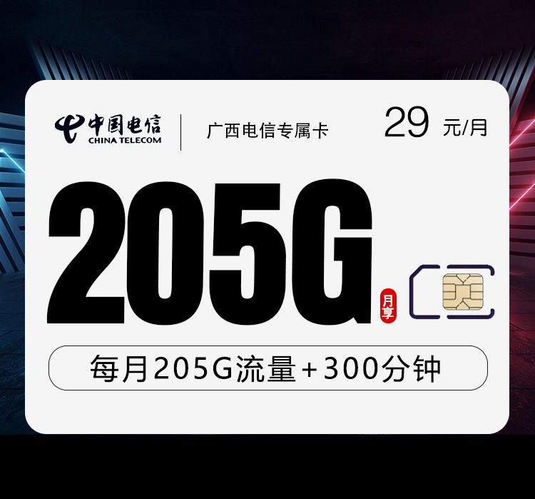广西电信专享卡【29元205G+300分钟】官方办理入口