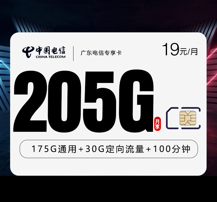 广东电信专享卡 【19元205G+100分钟】官方办理入口