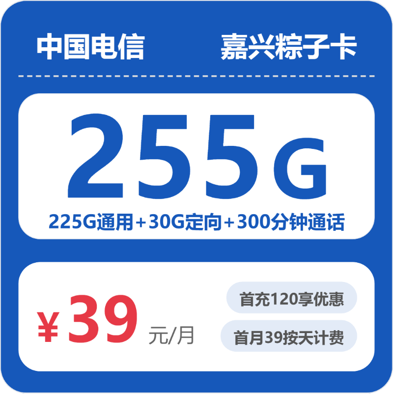 电信嘉兴粽子卡39元包255G通用+300分钟官方办理入口